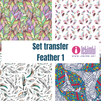 Set transfer - Feather 1