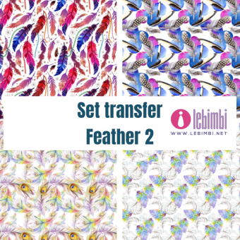 Set transfer - Feather 2