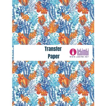 Transfer Design T60671