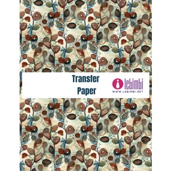 Transfer Design T60673