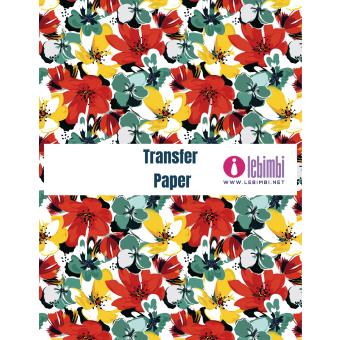 Transfer Design T60686