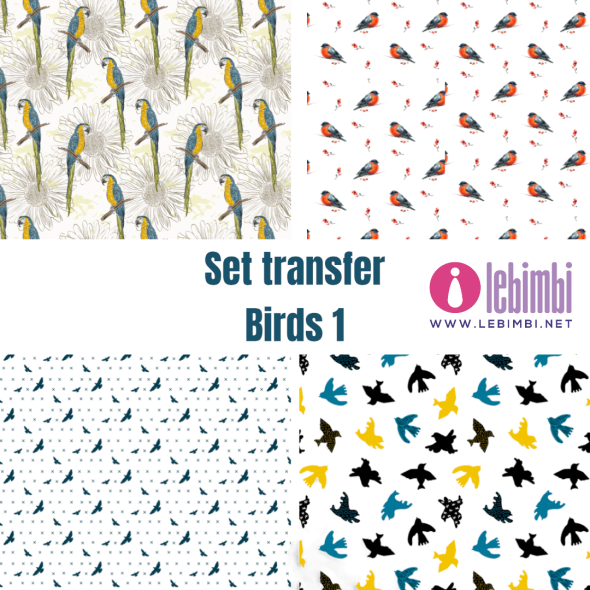 Set transfer - Birds 1