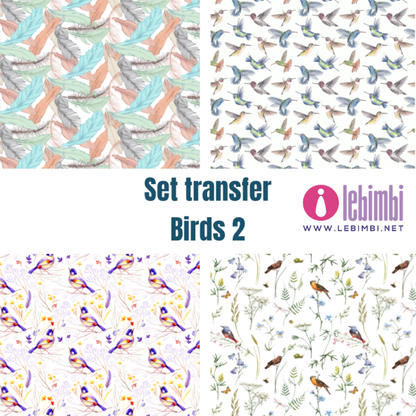 Set transfer - Birds 2