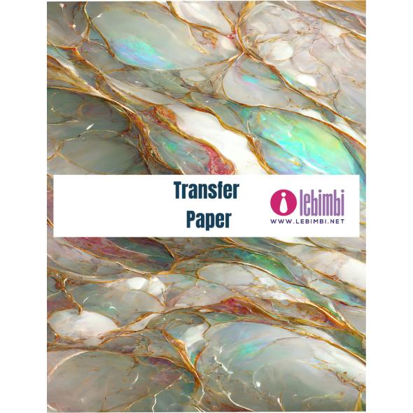 Transfer Design T60822